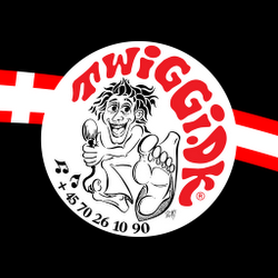 Twiggi’s Rullende Diskoteker – Mere end 50 års erfaring med at skabe uforglemmelige fester!